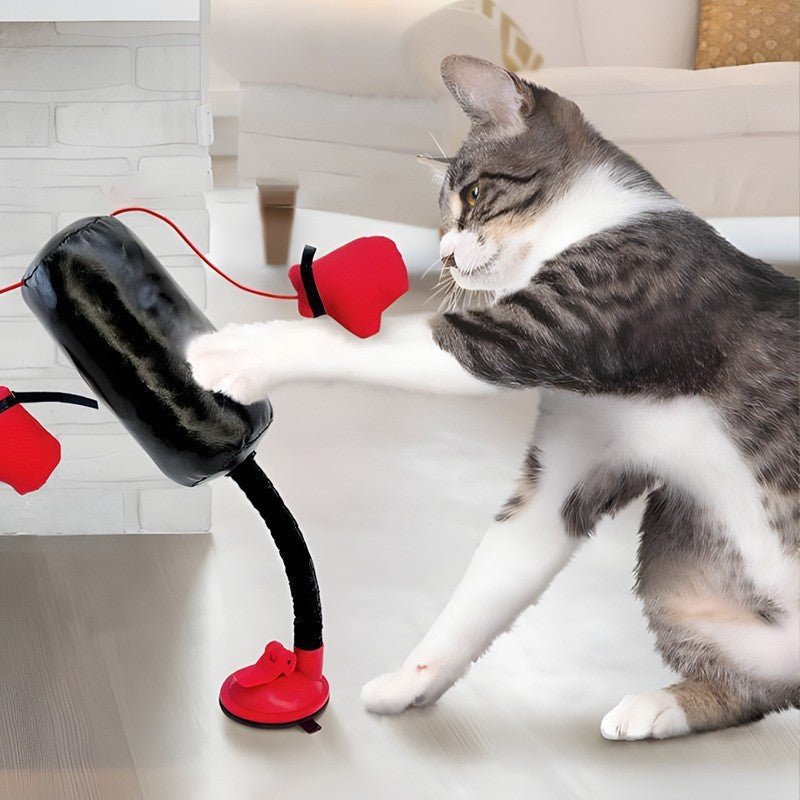 Cat Punching Bag — Let Your Cat Throw Punches !